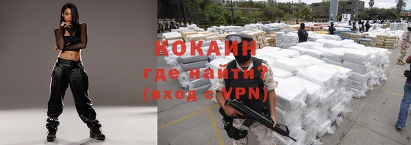 дживик Аркадак