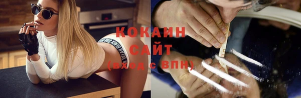 дживик Аркадак