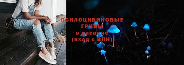 ешки Армянск