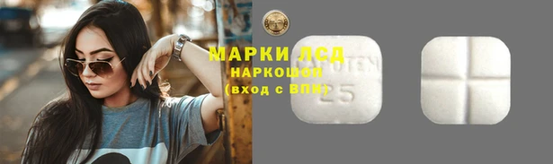 дживик Осинники