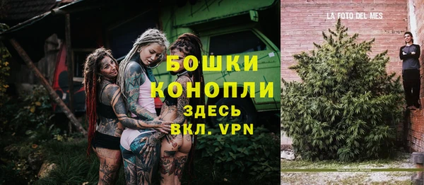дживик Аркадак