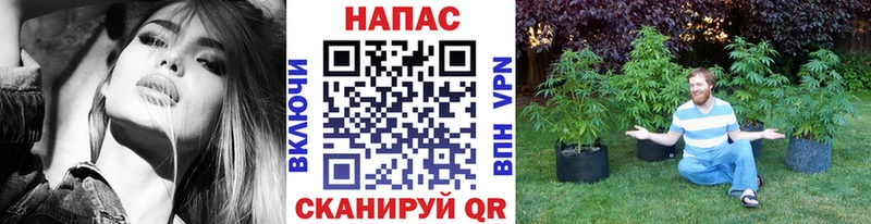 Бошки Шишки конопля  купить  сайты  Усть-Кут 